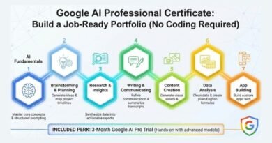 Google AI Professional Cert